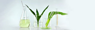 Sustainable Skincare Solutions
