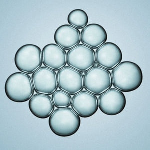 Hyaluronic Acid (9kDa), Korea