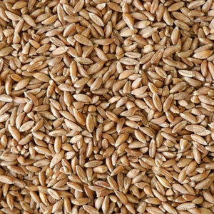 Hydrolyzed Wheat Protein